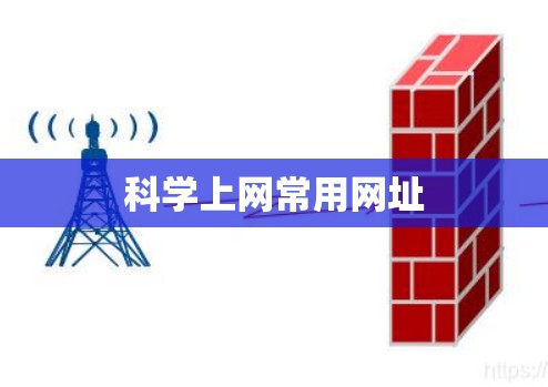 科学上网常用网址 科学上网常用网址