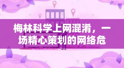梅林科学上网混淆,一场精心策划的网络危机? 梅林科学上网混淆,一场精心策划的网络危机?