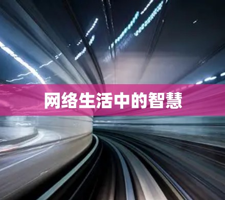 网络生活中的智慧 网络生活中的智慧