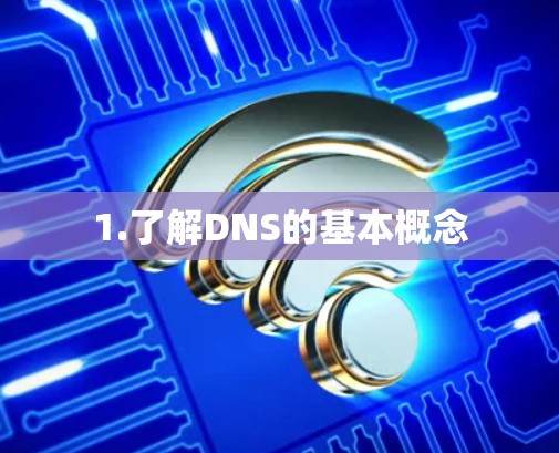 1.了解DNS的基本概念 1.了解DNS的基本概念