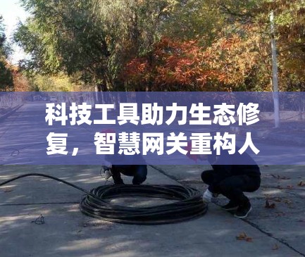科技工具助力生态修复，智慧网关重构人类与野猪的平衡