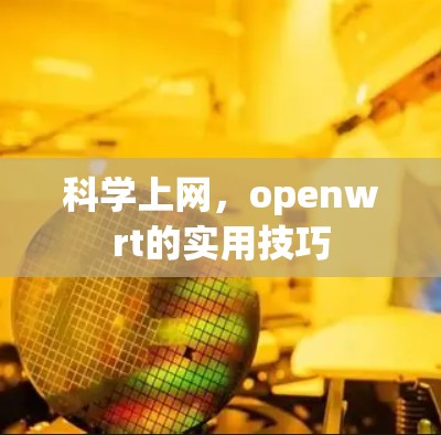 科学上网，openwrt的实用技巧