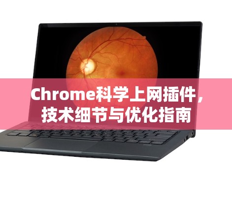 Chrome科学上网插件，技术细节与优化指南
