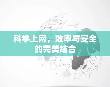科学上网,效率与安全的完美结合 科学上网,效率与安全的完美结合
