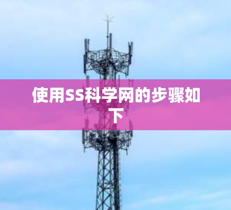 使用SS科学网的步骤如下 使用SS科学网的步骤如下