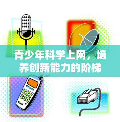 青少年科学上网,培养创新能力的阶梯 青少年科学上网,培养创新能力的阶梯