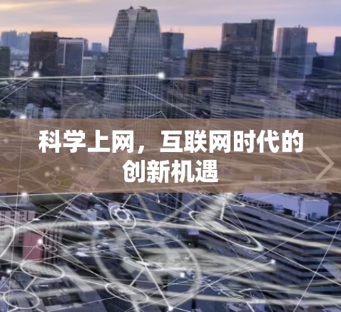 科学上网，互联网时代的创新机遇