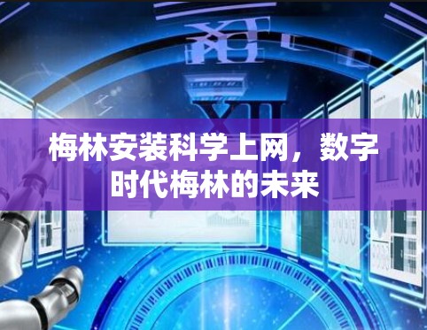 梅林安装科学上网,数字时代梅林的未来 梅林安装科学上网,数字时代梅林的未来