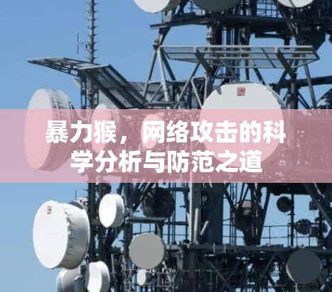 暴力猴,网络攻击的科学分析与防范之道 暴力猴,网络攻击的科学分析与防范之道