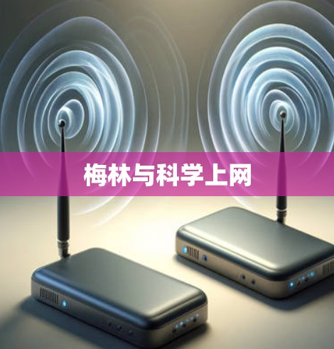 梅林与科学上网