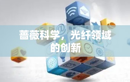 蔷薇科学，光纤领域的创新