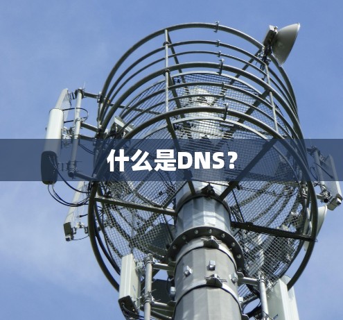 什么是DNS? 什么是DNS?