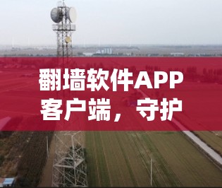 翻墙软件APP客户端,守护网络空间的清风 翻墙软件APP客户端,守护网络空间的清风