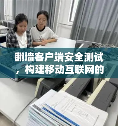 翻墙客户端安全测试，构建移动互联网的可靠护盾