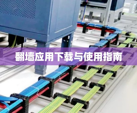 翻墙应用下载与使用指南