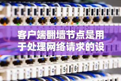 客户端翻墙节点是用于处理网络请求的设备或软件，具体功能如下