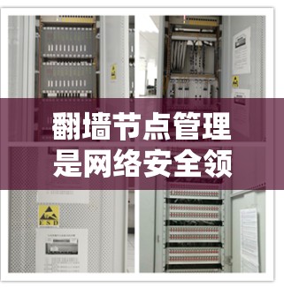 翻墙节点管理是网络安全领域中的一个重要技术，尤其在226年，随着技术的不断进步，翻墙节点管理可能会变得更加复杂和重要。以下是对翻墙节点管理226年的总结和分析