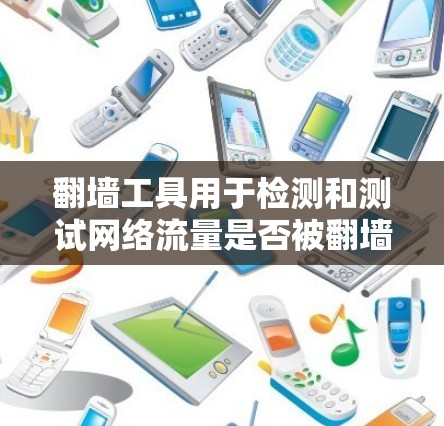 翻墙工具用于检测和测试网络流量是否被翻墙，以下是逐步的指南