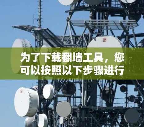 为了下载翻墙工具，您可以按照以下步骤进行选择