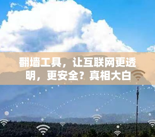 翻墙工具，让互联网更透明，更安全？真相大白