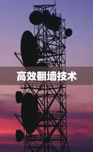 高效翻墙技术