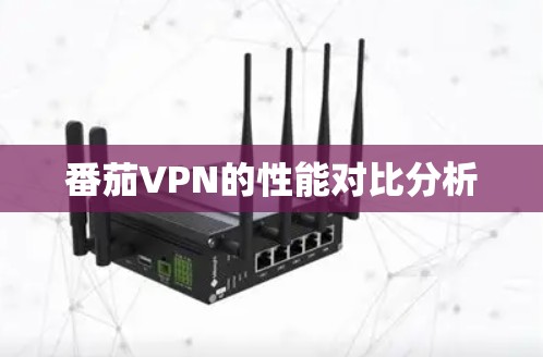 番茄VPN的性能对比分析
