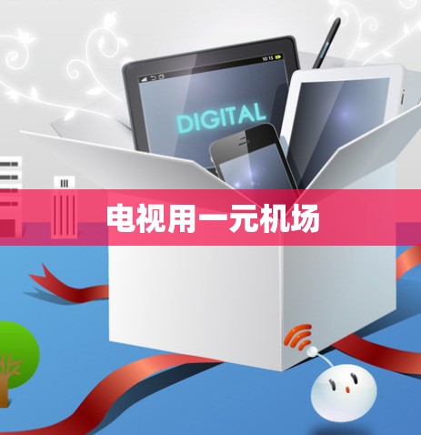 电视用一元机场