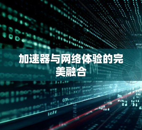 加速器与网络体验的完美融合