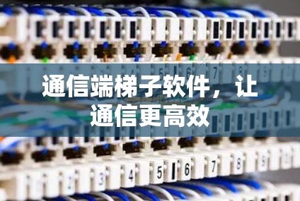 通信端梯子软件，让通信更高效