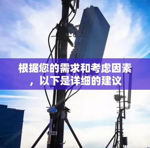 根据您的需求和考虑因素，以下是详细的建议