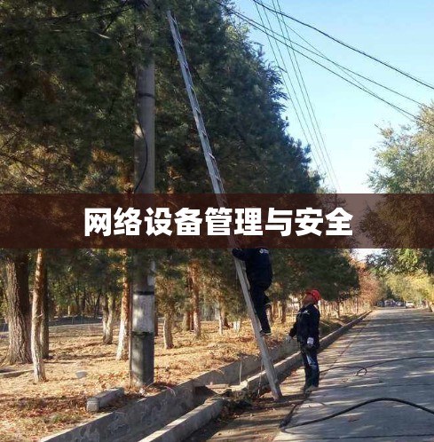 网络设备管理与安全