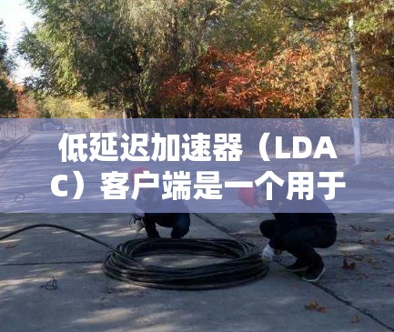 低延迟加速器（LDAC）客户端是一个用于提升手机和电脑网络连接延迟的工具。它通过缓存和网络缓存机制来减少数据传输的时间，从而提高用户体验。以下是一个详细的步骤指南，帮助你构建一个简单的LDAC客户端