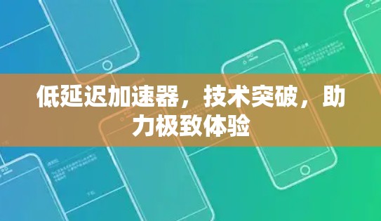 低延迟加速器，技术突破，助力极致体验