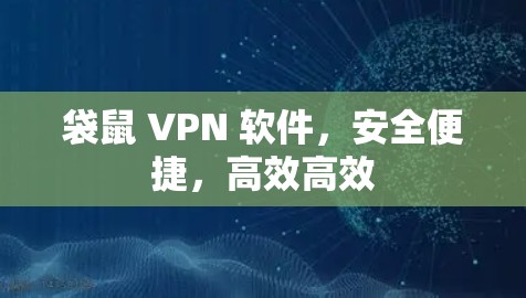 袋鼠 VPN 软件，安全便捷，高效高效