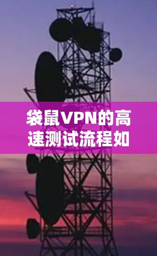 袋鼠VPN的高速测试流程如下