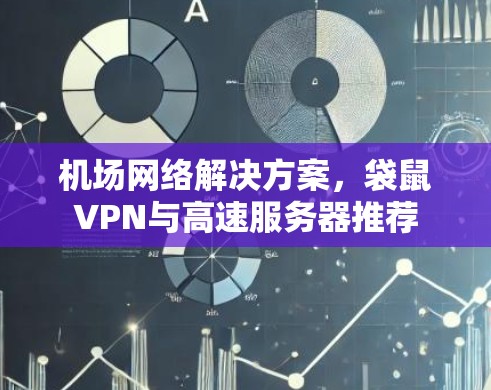 机场网络解决方案，袋鼠VPN与高速服务器推荐