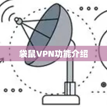 袋鼠VPN功能介绍