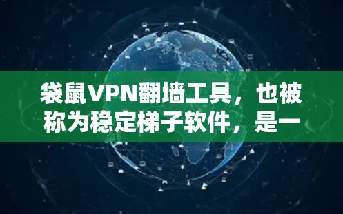 袋鼠VPN翻墙工具，也被称为稳定梯子软件，是一种提供VPN服务的软件应用。它通过加密技术确保用户的数据安全，通常使用HTTPS协议。以下是对袋鼠VPN翻墙工具的详细分析