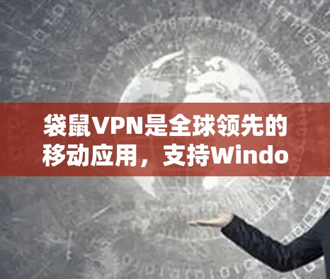 袋鼠VPN是全球领先的移动应用，支持Windows和Mac，提供多种VPN服务。以下是使用袋鼠VPN Windows版的基本步骤
