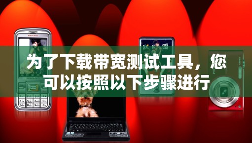 为了下载带宽测试工具，您可以按照以下步骤进行