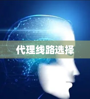 代理线路选择