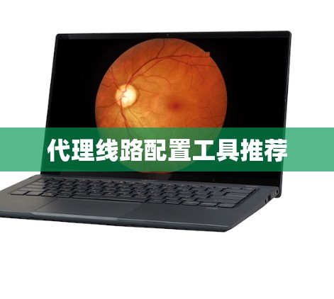 代理线路配置工具推荐