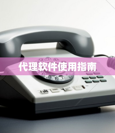 代理软件使用指南