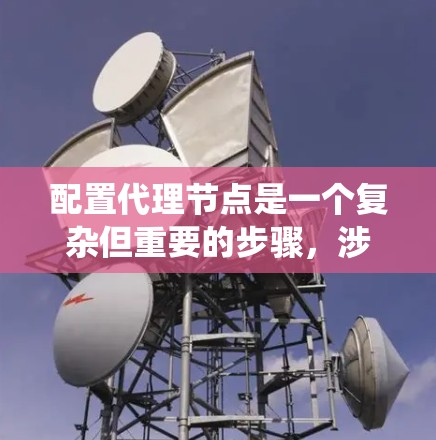 配置代理节点是一个复杂但重要的步骤，涉及多个参数和命令。以下是一个系统化的配置教程，涵盖从概念到配置的各个方面