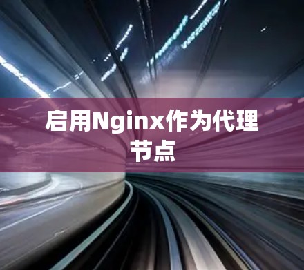 启用Nginx作为代理节点