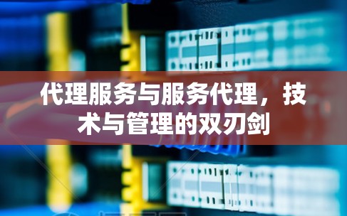 代理服务与服务代理，技术与管理的双刃剑