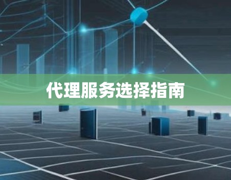代理服务选择指南
