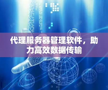 代理服务器管理软件，助力高效数据传输