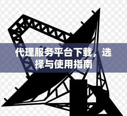 代理服务平台下载，选择与使用指南