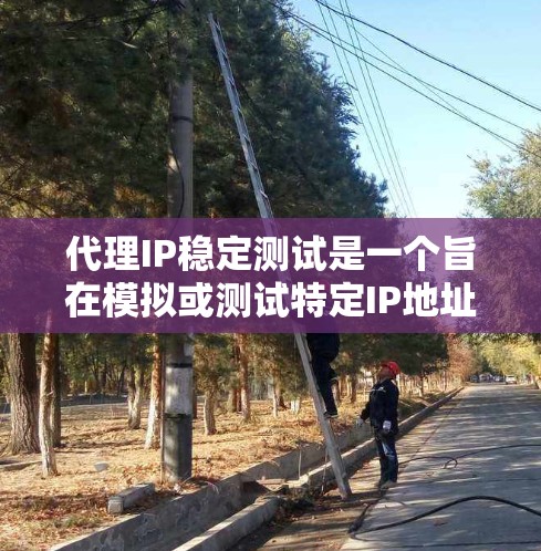 代理IP稳定测试是一个旨在模拟或测试特定IP地址在服务器环境中的稳定性的操作。以下是详细的步骤和实施方法